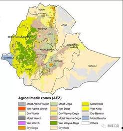 69精品产区最新在线播放,在线视听盛宴，尽享视听新体验